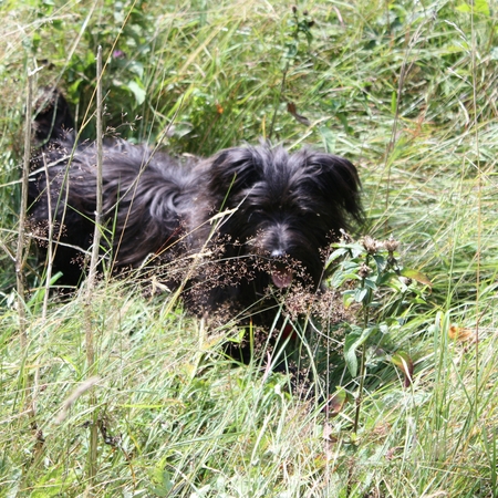 Urlaub im Allgäu (14)